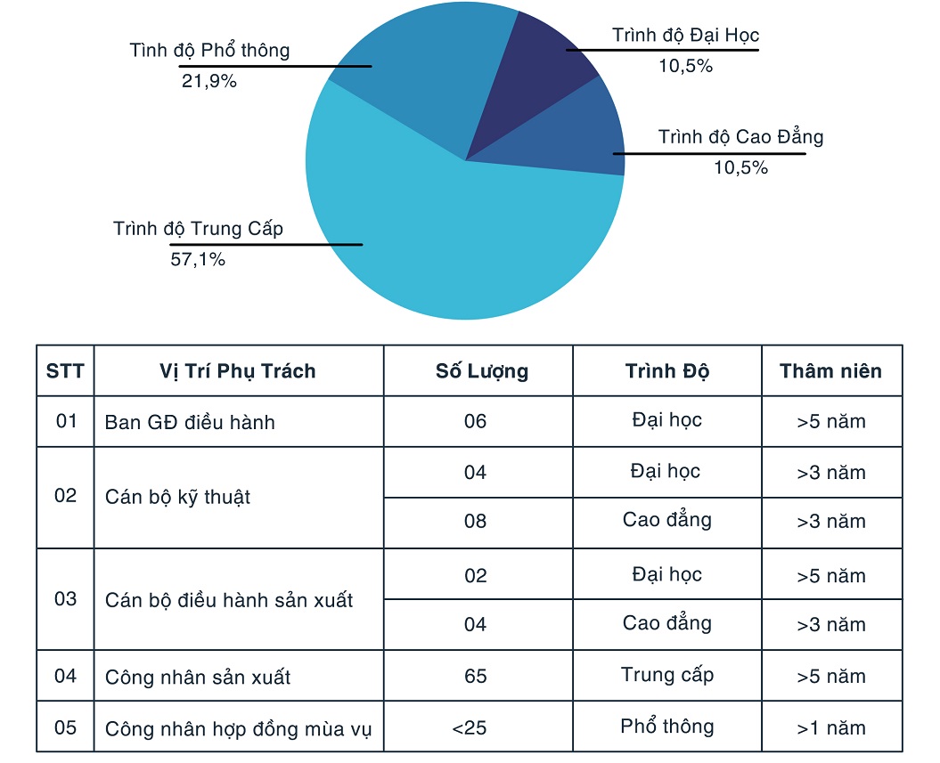 Năng lực nhân sự